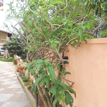 Rosa Bed & Breakfast Lotzorai