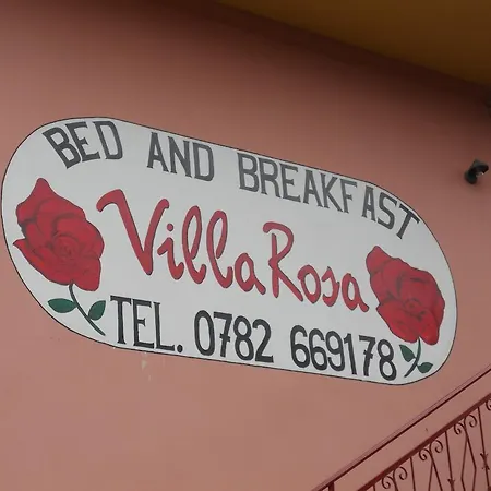 Rosa *